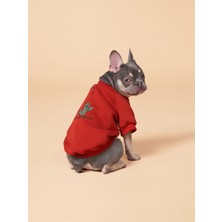 Salya Store Köpek kıyafeti, Köpek Sweatshirt Küçük ve Orta Irk Köpek Kıyafeti 0-15kg