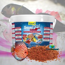Tetra Pro Colour 100 Gram Premium Renklendirici Balık Yemi Tüm Tropikal Balıklar İçin Besleyici