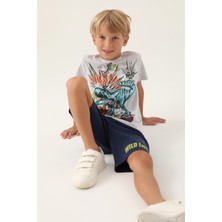 Rolypoly Erkek Çocuk Gri Bermuda Takım