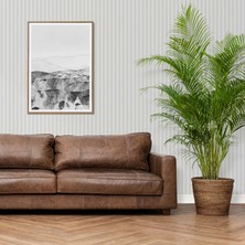 Adawall Omega Koleksiyonu 23206-3 Duvar Kağıdı