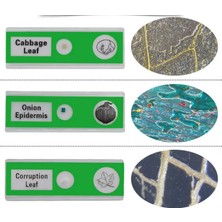 Ece Mikroskop Slayt Preparat Seti Başlangıç 12'li Bitkiler