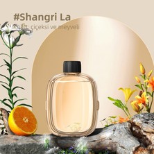 Mioji Mio Smell 2x Aromaterapi Yedek Oda Kokusu - Shangri-La Kokusu (1 Adet)