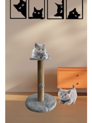 Nursoft Stepli Kedi Tırmalama Tahtası
