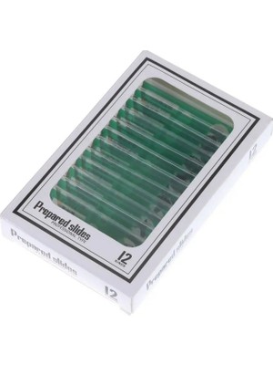 Ece Mikroskop Slayt Preparat Seti Başlangıç 12'li Bitkiler