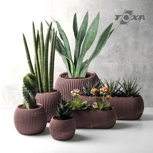 6 Parça Mercan Saksı Seti Soft Pembe