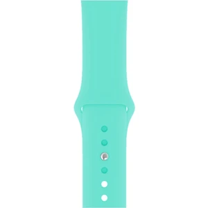 Apple Watch Seri 1/2/3/4/5/6/7/8/se/ultra 42MM 44MM 45MM 49MM Kordon Kayış Bileklik Klasik Silikon Turkuaz