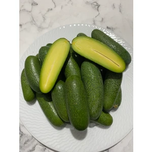 Anamur Meyvecim Bebek Avokado 2 kg