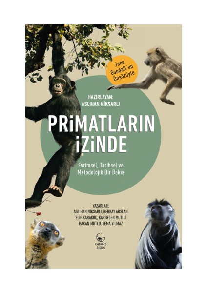 Primatların Izinde