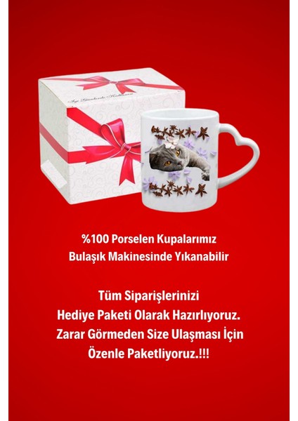 Sevimli Kedicik Baskılı Hediye Kalp Kupa Bardak Porselen Çay Kahve Fincanı