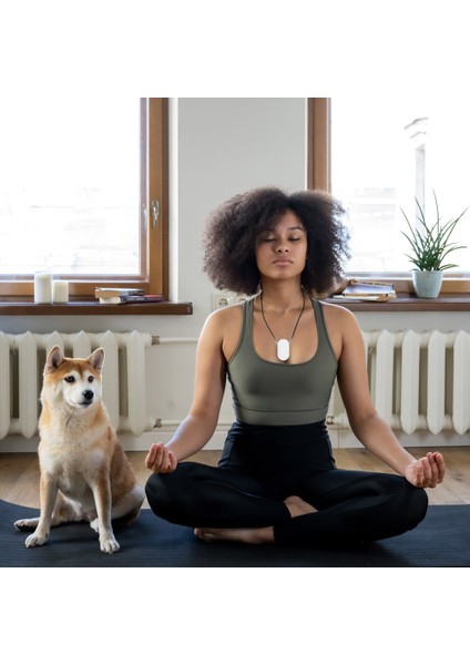 6,5 Milyon Negatif Iyon Arıtma Cihazı Kişisel Giyilebilir Mini Siyah (Yurt Dışından) indirimleri