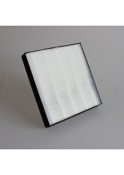 Arıtma DE5206 DE5205 Arıtma Hepa Filtresi Için Uygun (Yurt Dışından) fırsatları