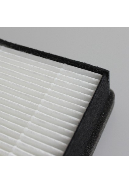 Arıtma DE5206 DE5205 Arıtma Hepa Filtresi Için Uygun (Yurt Dışından) indirimleri