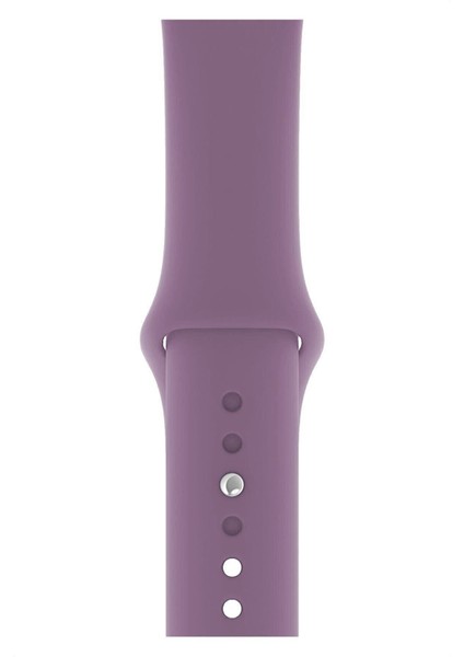 Apple Watch Seri 1/2/3/4/5/6/7/8/se/ultra 38MM 40MM 41MM Kordon Kayış Bileklik Klasik Silikon Koyu Lavanta