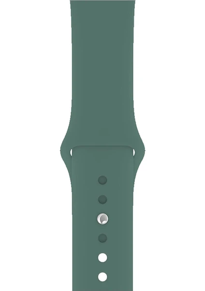 Apple Watch Seri 1/2/3/4/5/6/7/8/se/ultra 38MM 40MM 41MM Kordon Kayış Bileklik Klasik Silikon Pine Green