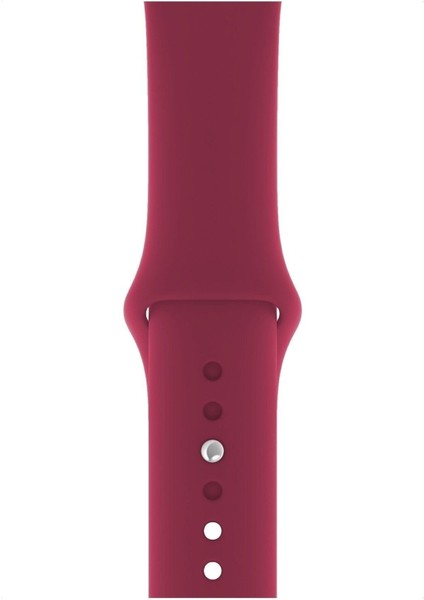 Apple Watch Seri 1/2/3/4/5/6/7/8/se/ultra 42MM 44MM 45MM 49MM Kordon Kayış Bileklik Klasik Silikon Vişne