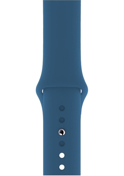 Apple Watch Seri 1/2/3/4/5/6/7/8/se/ultra 42MM 44MM 45MM 49MM Kordon Kayış Bileklik Klasik Silikon Denim Blue