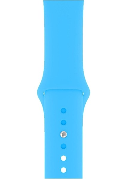 Apple Watch Seri 1/2/3/4/5/6/7/8/se/ultra 42MM 44MM 45MM 49MM Kordon Kayış Bileklik Klasik Silikon Mavi