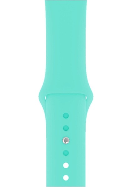 Apple Watch Seri 1/2/3/4/5/6/7/8/se/ultra 42MM 44MM 45MM 49MM Kordon Kayış Bileklik Klasik Silikon Turkuaz
