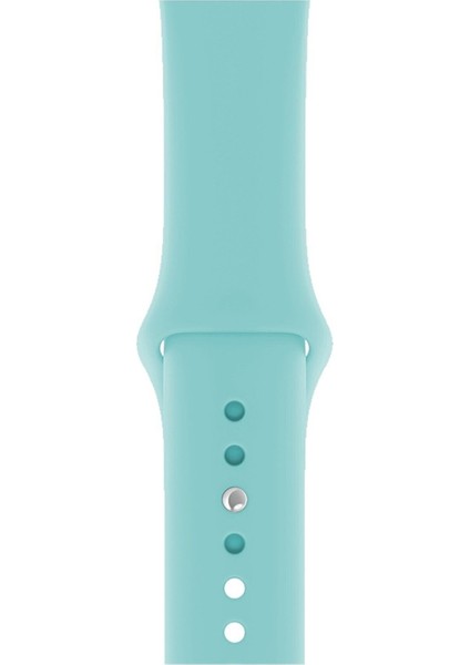 Apple Watch Seri 1/2/3/4/5/6/7/8/se/ultra 42MM 44MM 45MM 49MM Kordon Kayış Bileklik Klasik Silikon Bebek Mavisi