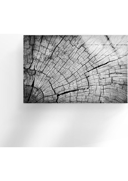 Ağaç Gövdesi Temperli Cam Duvar Tablosu