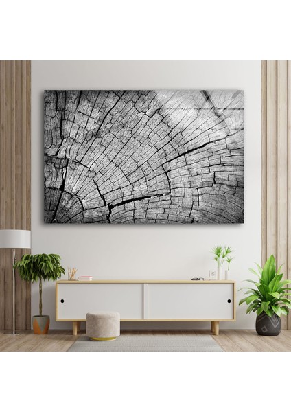 Ağaç Gövdesi Temperli Cam Duvar Tablosu fiyatları