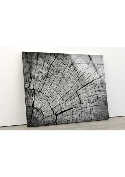 Ağaç Gövdesi Temperli Cam Duvar Tablosu modelleri