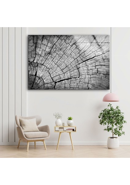 Ağaç Gövdesi Temperli Cam Duvar Tablosu fırsatları