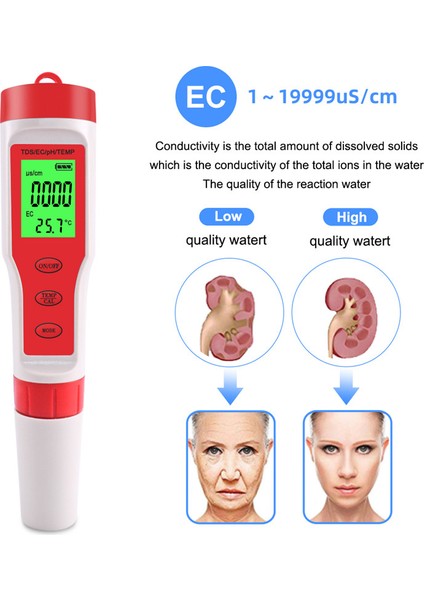 Yıeryı Portab 4'ü 1 Arada Dijital Ph Tds Ec Metre Sıcaklık Test Cihazı Arkadan Aydınlatmalı Havuzlar, Içme Suyu, Akvaryumlar Için Su Kalitesi Monitör Test Cihazı (Yurt Dışından) fırsatları