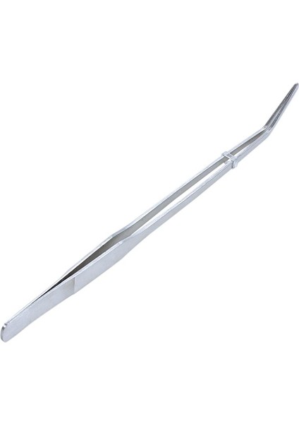 Balık Tankı Için Bitki Paslanmaz Çelik Kavisli Cımbız Klipsi (Yurt Dışından) modelleri