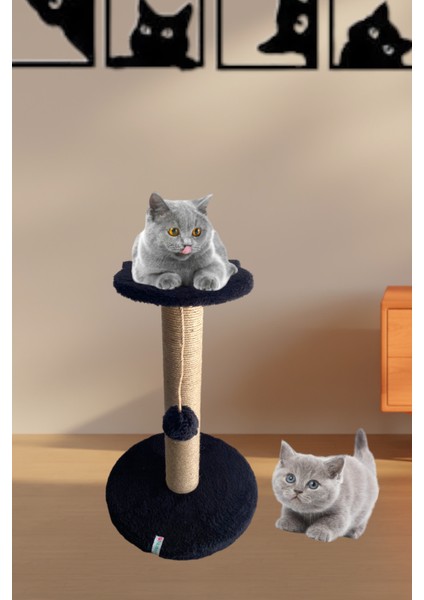 Stepli Kedi Tırmalama Tahtası