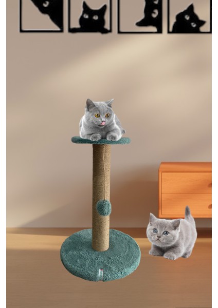 Stepli Kedi Tırmalama Tahtası