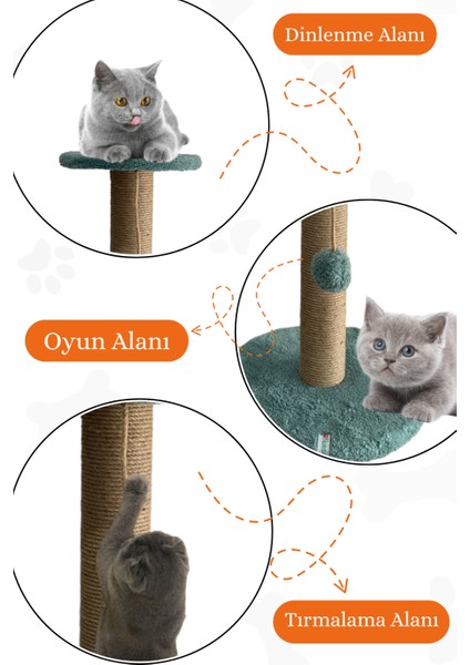 Stepli Kedi Tırmalama Tahtası