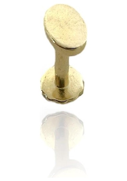 Düz Oval Sade Tragus Küpe 14 Ayar Altın