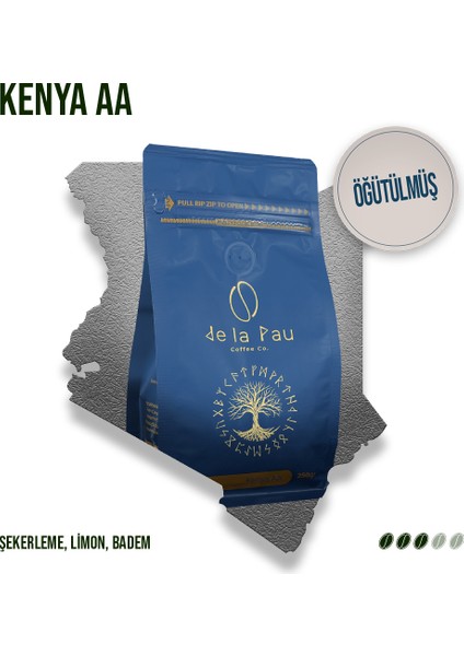 Kenya Aa Öğütülmüş Paket Filtre Kahve 250 gr