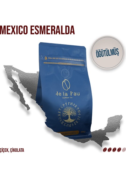 Mexico Esmeralda Öğütülmüş Paket Kahve 250 gr