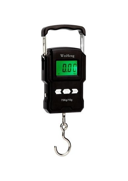 75KG X10G Taşınabilir Dijital Ölçekli Balıkçılık Bagaj Seyahat Ağırlığı Steelyard Asma Elektronik Kanca Ölçek Ağırlık Araçları + 1m Bant | Tartım Ölçekleri (Yurt Dışından)