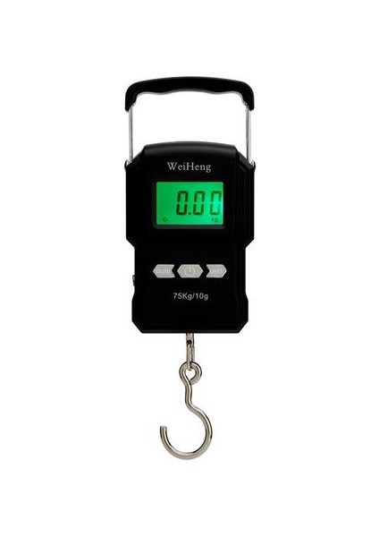 75KG X10G Taşınabilir Dijital Ölçekli Balıkçılık Bagaj Seyahat Ağırlığı Steelyard Asma Elektronik Kanca Ölçek Ağırlık Araçları + 1m Bant | Tartım Ölçekleri (Yurt Dışından) fiyatları