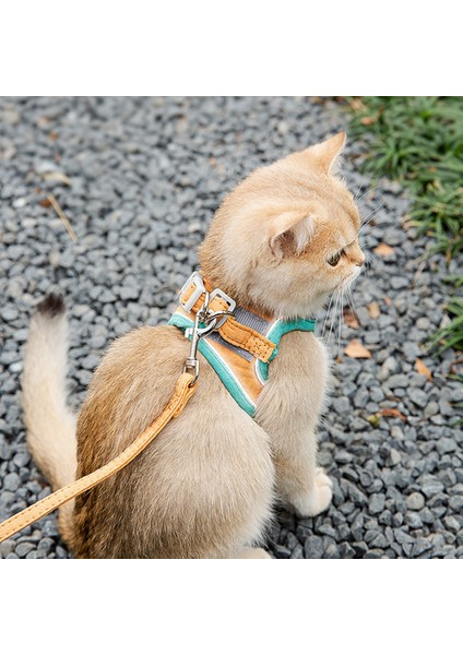 Kedi Tasması, Yansıtıcı Yelek Göğüs Kayışı Anti-Breakway Tasması (Yurt Dışından)