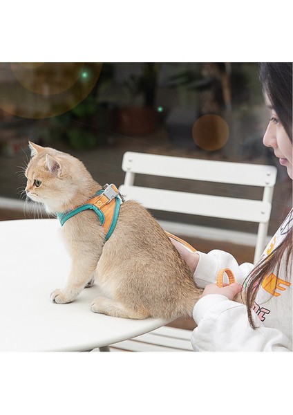 Kedi Tasması, Yansıtıcı Yelek Göğüs Kayışı Anti-Breakway Tasması (Yurt Dışından)