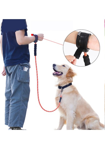 Orta ve Büyük Köpek Tasması, Yansıtıcı Naylon Cesur Patlamaya Dayanıklı Yumruk-Runaway Karşıtı Köpek Tasması (Yurt Dışından) indirimleri