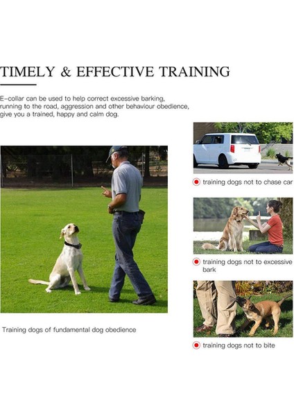 Köpek Eğitmeni Evcil Hayvan Malzemeleri, Uzaktan Kumanda Ses Kontrol Kabuğu Durdurma Köpek Yakası (Yurt Dışından) indirimleri