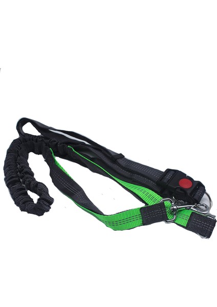 Köpek Tasması, Spor Tasma Evcil Hayvan Malzemeleri (Yurt Dışından)