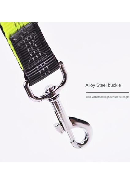 Köpek Tasması, Spor Tasma Evcil Hayvan Malzemeleri (Yurt Dışından) modelleri