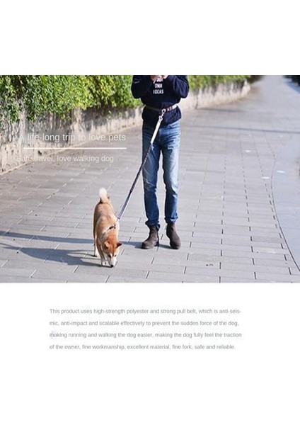 Köpek Tasması, Spor Tasma Evcil Hayvan Malzemeleri (Yurt Dışından) fırsatları