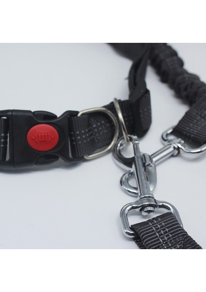 Köpek Tasması, Spor Tasma Evcil Hayvan Malzemeleri (Yurt Dışından) indirimleri