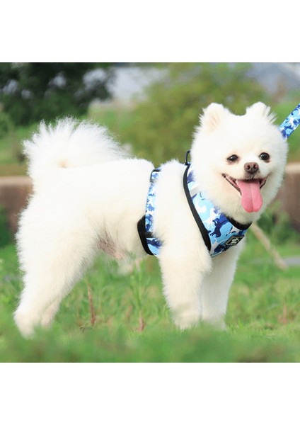 Köpek Tasması, Göğüs Kayışı Köpek Zinciri Evcil Hayvan Malzemeleri (Yurt Dışından) indirimleri