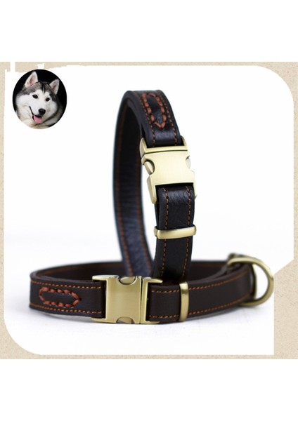 Büyük ve Küçük Sert ve Dayanıklı Yumuşak Deri Için Deri Evcil Kedi ve Köpek Yakası (Yurt Dışından) indirimleri