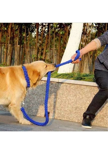 Köpek Ipi Yaka, Orta ve Büyük Köpekler Için Sekiz Telli Halat P Zinciri (Yurt Dışından)