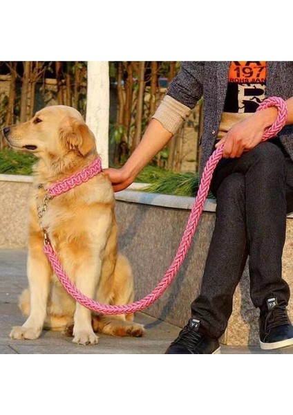 Köpek Ipi Yaka, Orta ve Büyük Köpekler Için Sekiz Telli Halat P Zinciri (Yurt Dışından)