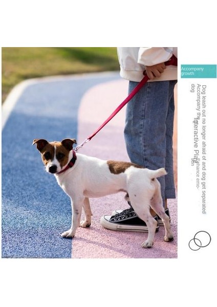 Köpek Tasması, Naylon Dalgıç Yumuşak Astar (Yurt Dışından) modelleri